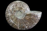 Silver Iridescent Ammonite - Madagascar #77108-1